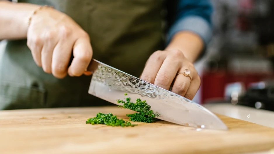 Professional Chef's Knife
